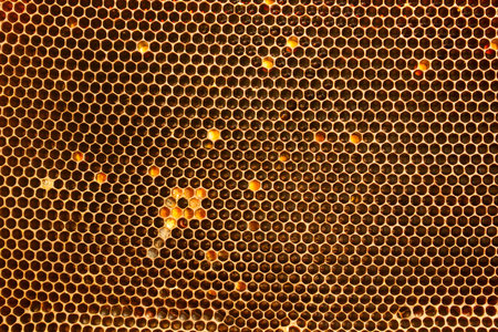 Dark golden background of honeycombs in which bees collect nectar