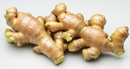 Fresh ginger root isolated on white backgroundの素材