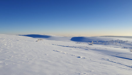 The ground is covered with snow, a clear frosty day in winterの素材