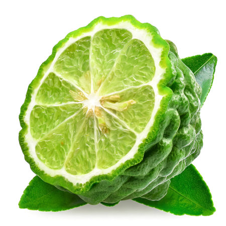 Half of bergamot citrus fruit isolated on white backgroundの素材