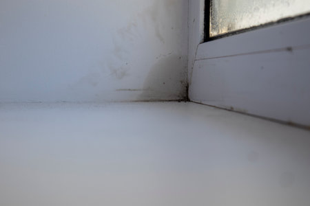 Slope near the window fungus moisture. Selective focus. Homeの写真素材