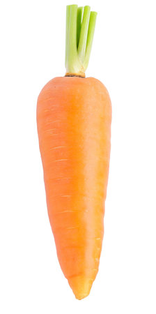 Fresh whole single carrot isolated on white backgroundの素材