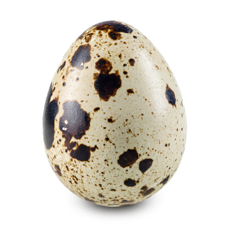 One whole quail egg close-up isolated on white backgroundの素材