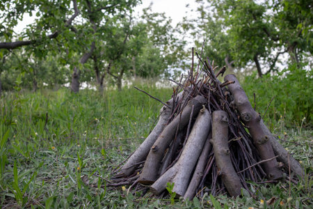 Tidy stack of wooden branches arranged in a vibrant green orchard