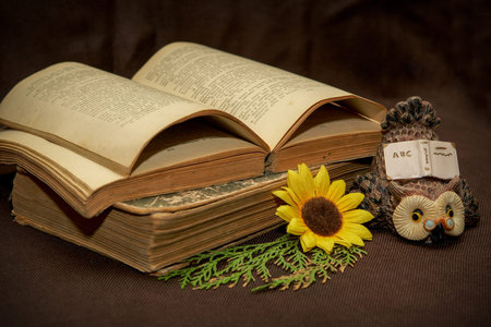 Old book on brown backgroundの写真素材