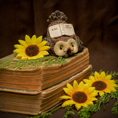 Old book on brown backgroundの写真素材