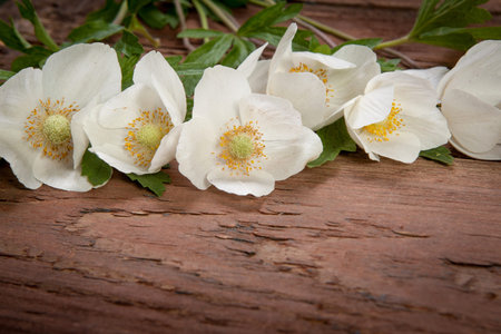 bouquet  white  flowers on vintage wooden backgroundの写真素材