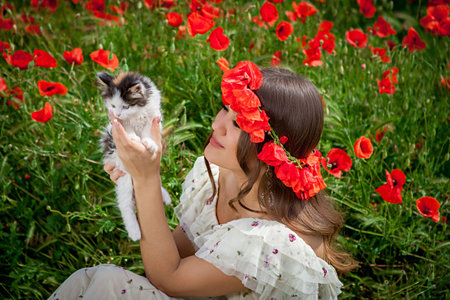 beautiful  woman sitting in the poppy flower plays with a kittenの写真素材
