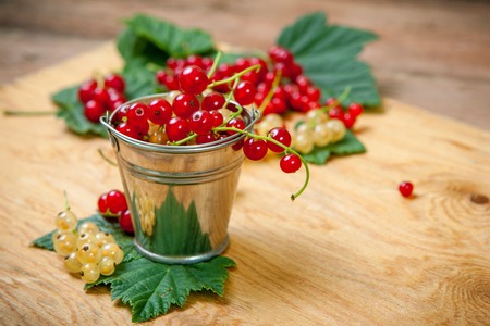 Berries on Wooden Background. Summer  red and yellow currant. Agriculture, Gardening, Harvest Conceptの写真素材