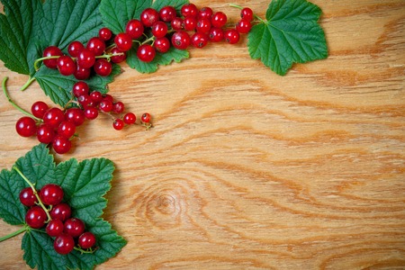 Berries on Wooden Background. Summer  red currant. Agriculture, Gardening, Harvest Conceptの写真素材