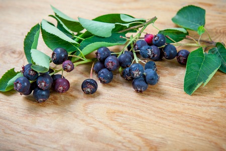 shadberry on Wooden Background.の写真素材