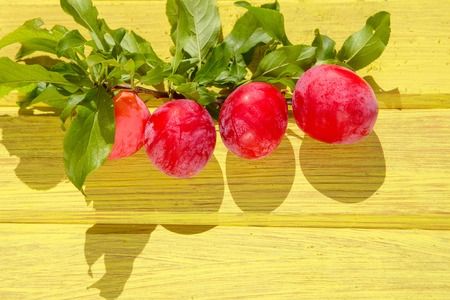 fresh plums on background yellow wooden tableの写真素材
