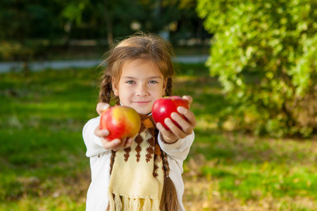 Little beautiful girl with pigtails hold apples in hands.. Autumn harvest.の写真素材