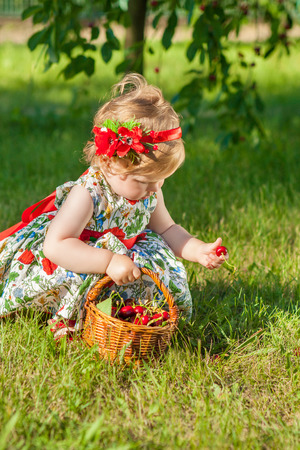 Little cute girl in orchard. Happy cheerful child on a sunny day.  Carefully studying cherriesの写真素材