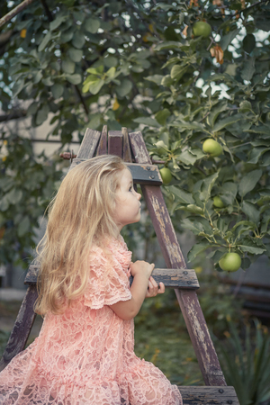 Beautiful little girl in apple garden. Standing on a garden staircase.の写真素材