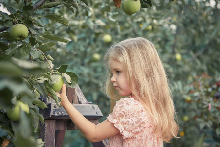 Beautiful little girl in apple garden. Standing on a garden staircase.の写真素材