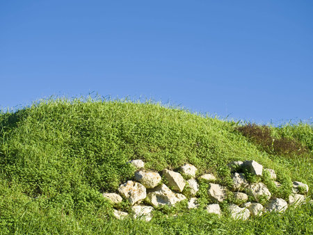Green grass in the Med and rubble wallの写真素材