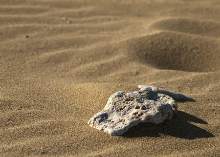 Stones laying on desert or beach sand dunesの写真素材