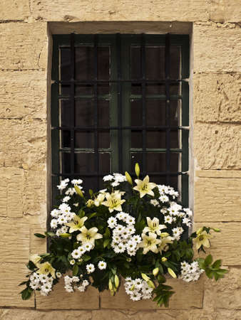 A medieval window with flower arrangement in Maltaの写真素材