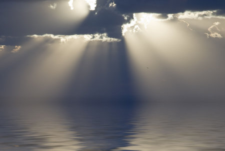 Distant seagull in beautiful twilight colours during a winter Mediterranean sunsetの写真素材
