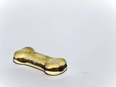 Dog bone shaped biscuit over white backdropの写真素材