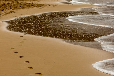 Footprints in red sand at beachの写真素材