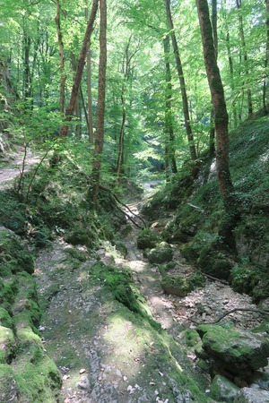 Gorge on the Swabian Alb in front of the Falkensteiner caveの写真素材
