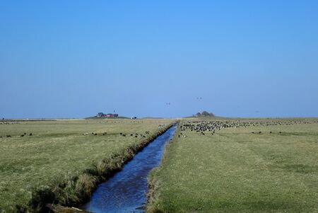 A narrow tidal creek and two dwelling mounds on Hallig Hooge in the North Seaの写真素材