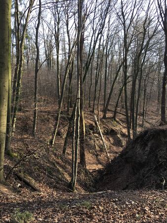 A v-shaped valley in the forest of Fellbach in the Schurwald mountains.の写真素材