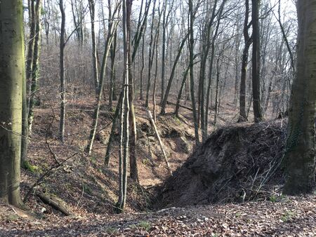 A v-shaped valley in the forest of Fellbach in the Schurwald mountains.の写真素材