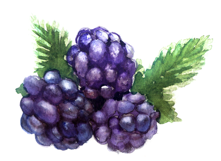 watercolor on a white backgroundの写真素材