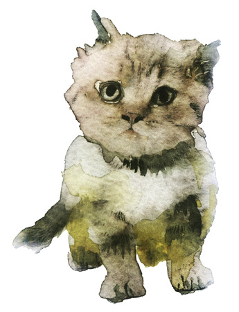 watercolor sketch of a kitten on a white backgroundの写真素材