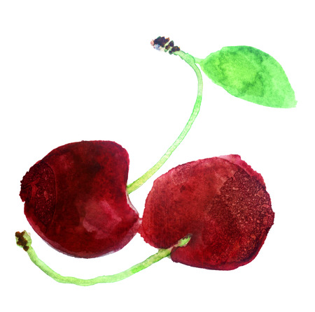 watercolor sketch: cherry on a white backgroundの写真素材