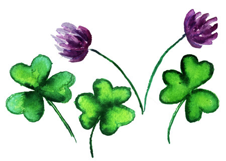 watercolor floral element on a white backgroundの写真素材