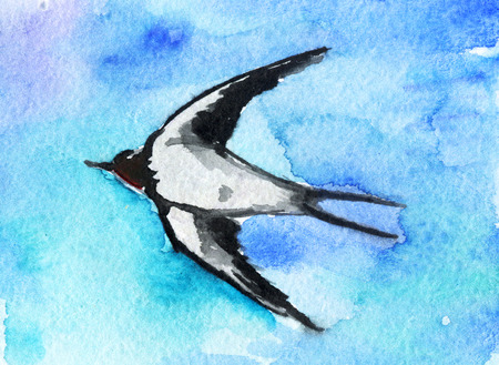 watercolor sketch of swallow birdの写真素材