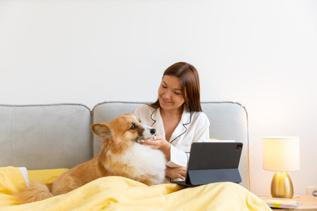 a corgi dog and a girl on the bed working on a laptop straight out of bed. Dog friend of man, lifestyleの写真素材