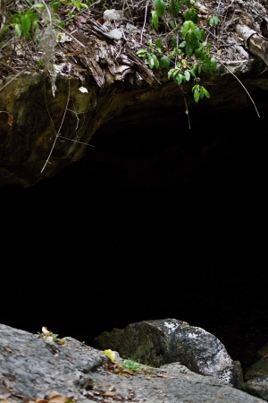 Black deep entrance to a cave synodの写真素材