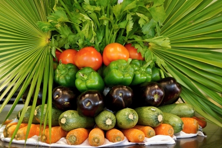Vegetable still life from parsley, tomato, green pepper, an eggplant, vegetable marrows and carrotsの写真素材