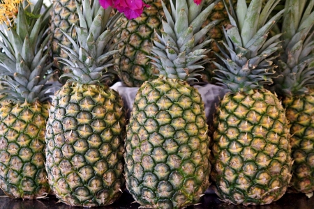 Crude fruits of pineapples are located vertically close upの写真素材