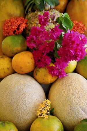 The allsorts from orange, tangerine, melons, pineapple also are decorated with flowersの写真素材