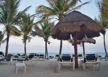 Chaise lounges, plank beds and sunshades on the sandy seashore, palm trees on a beachの写真素材
