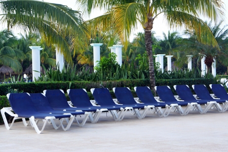 Plank beds and chaise lounges nearby on territories of the pool, a palm tree and other structures in a recreation areaの写真素材
