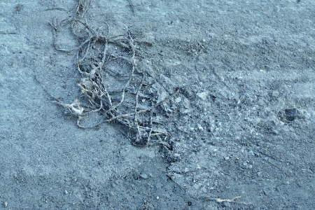 Old road surface after removal of an asphalt coveringの写真素材