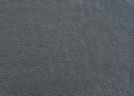 Texture of rough gray skin for a background and a surfaceの写真素材