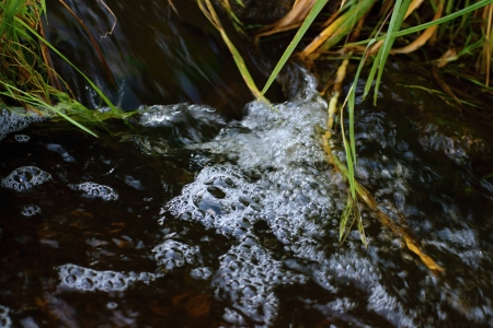 The stream from a natural source of water quickly flowsの写真素材