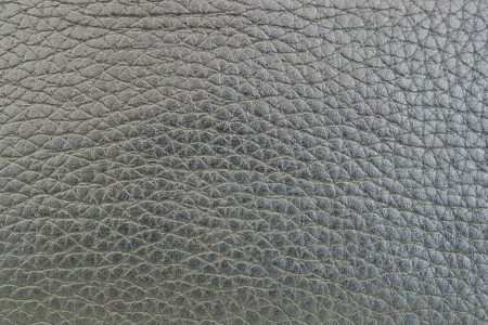 Texture of rough gray skin for a background and a surfaceの写真素材