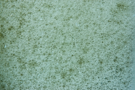 Abstract green background from texture of white foam on a surface of soap waterの写真素材