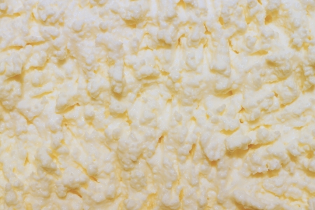 Texture of a cottage cheese surface for an abstract background and an empty surfaceの写真素材