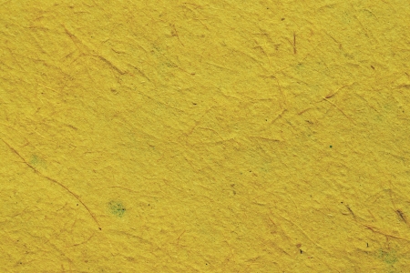 Texture of vegetable paper for an abstract backgroundの写真素材