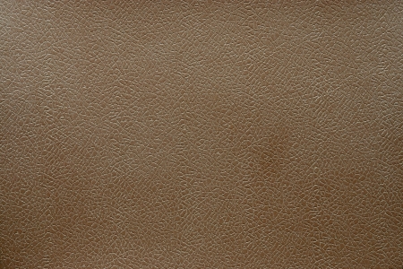 Abstract background from the textured brown skinの写真素材